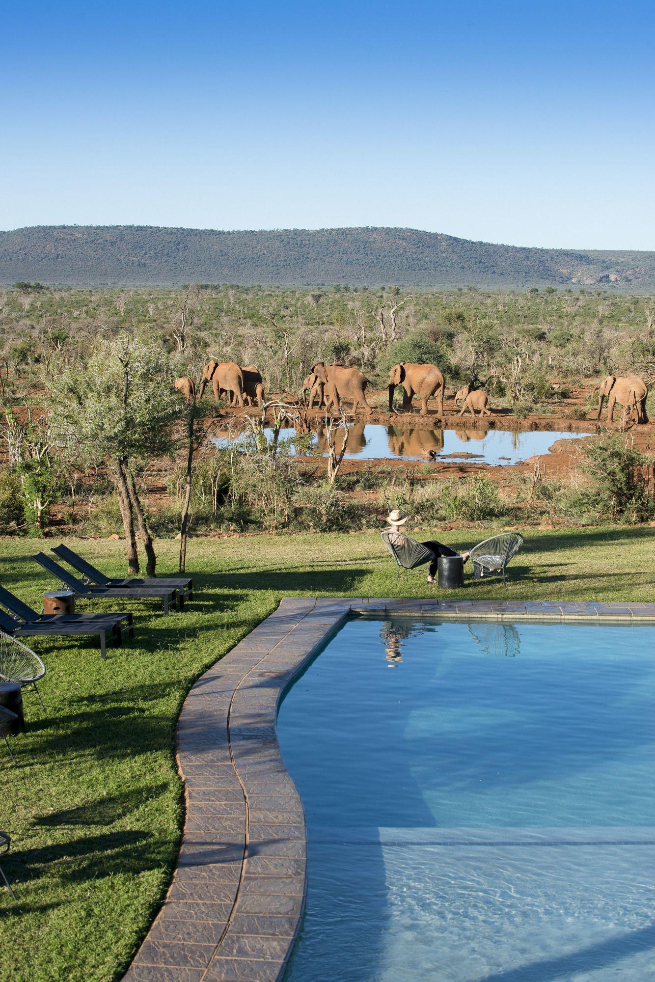 Madikwe Safari Lodge Madikwe Vadrezervátum Kültér fotó