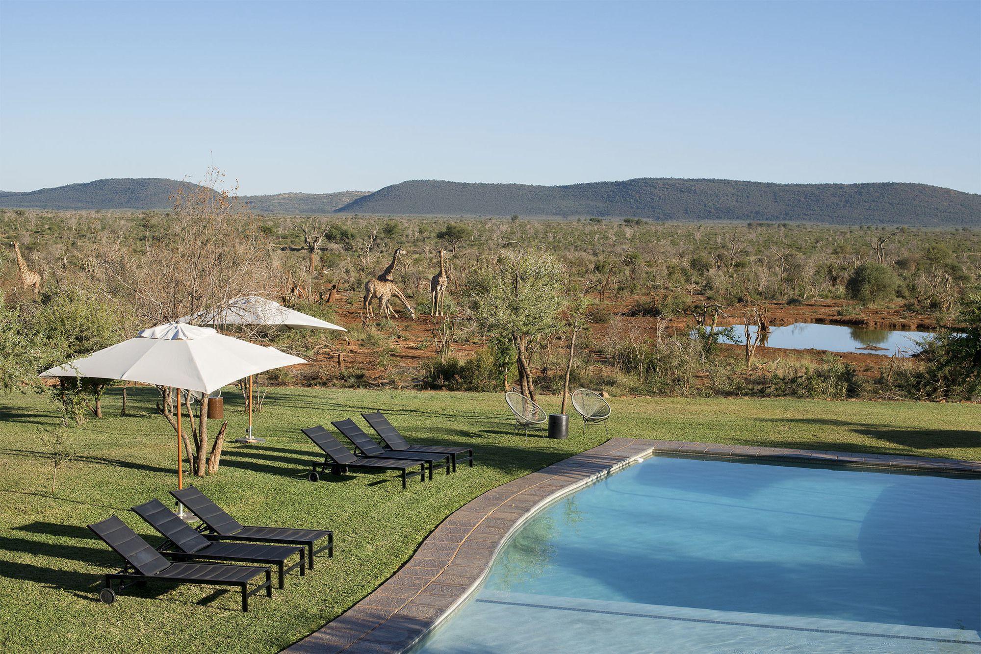 Madikwe Safari Lodge Madikwe Vadrezervátum Kültér fotó