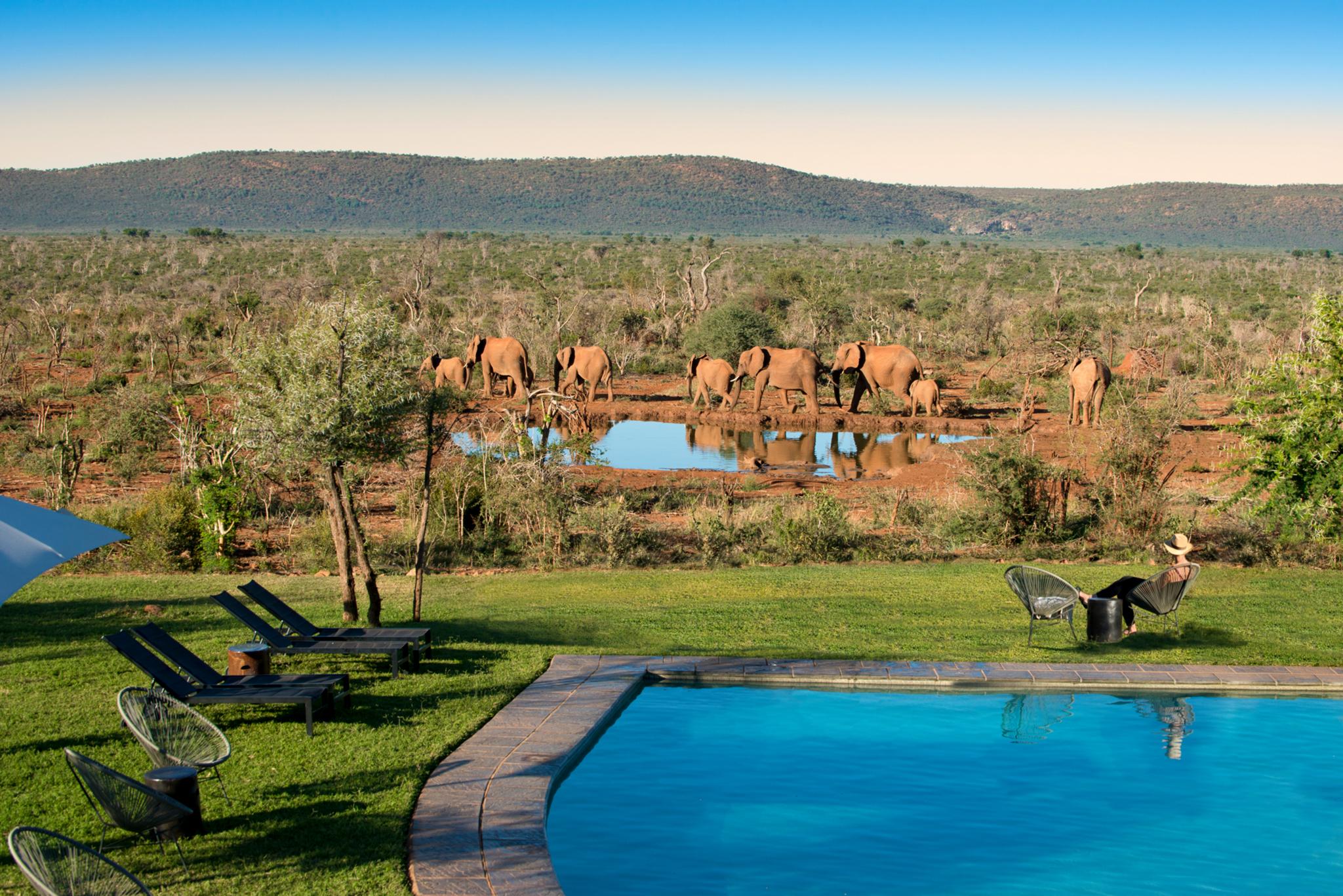 Madikwe Safari Lodge Madikwe Vadrezervátum Kültér fotó