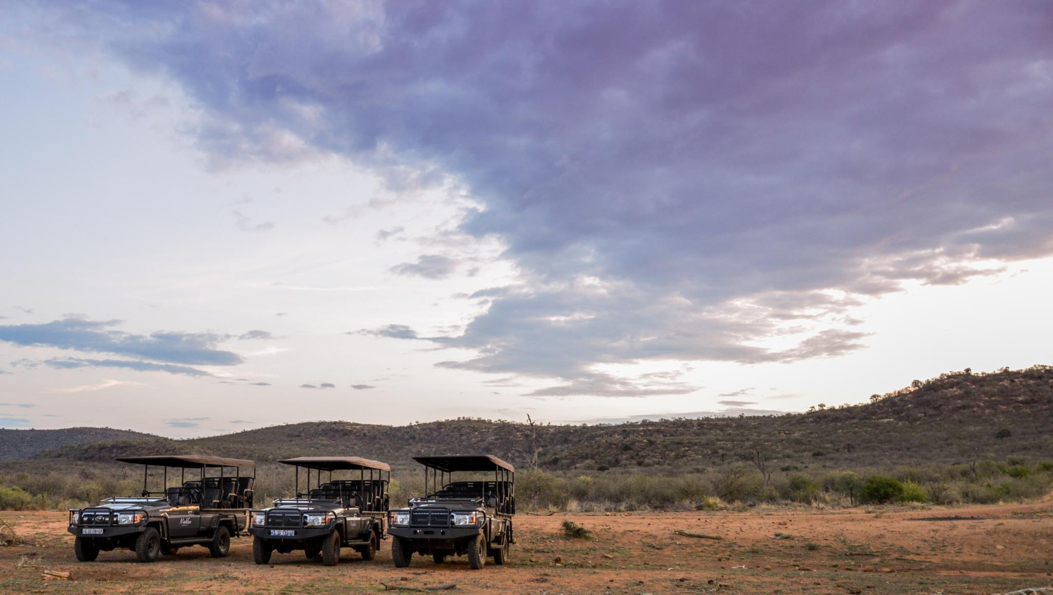 Madikwe Safari Lodge Madikwe Vadrezervátum Kültér fotó
