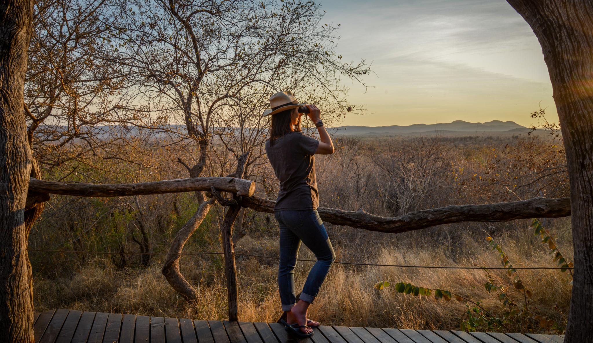 Madikwe Safari Lodge Madikwe Vadrezervátum Kültér fotó